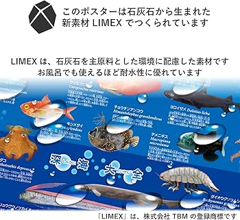 Amazon.co.jp: ザ・アクセス ポスター 深海大全 A1 動物 水族館